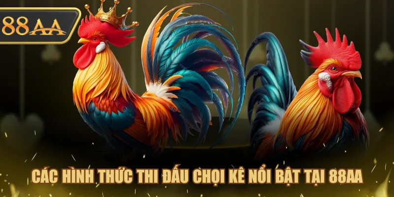 Các hình thức thi đấu chọi kê nổi bật tại 88AA