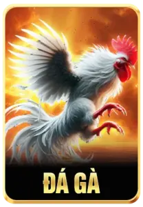 Sảnh đá gà 88aa