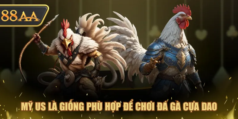 Đá Gà Cựa Dao Chọn Giống Nào? Sư Kê Bật Mí 4 Lựa Chọn Chuẩn 4 Mỹ US là giống phù hợp để chơi đá gà cựa dao
